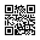 QR CODE 230