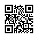 QR CODE 316