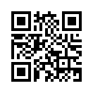 QR CODE 317