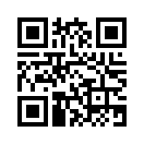 QR CODE 461