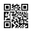 QR CODE 494