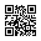 QR CODE 519