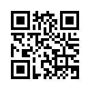 QR CODE 528