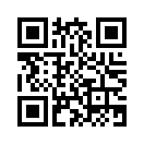 QR CODE 553