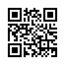 QR CODE 813