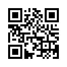 QR CODE 95