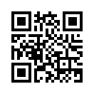 QR CODE 993