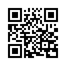 QR CODE 133