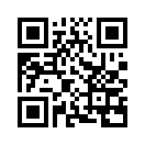 QR CODE 402