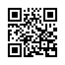QR CODE 419