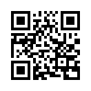 QR CODE 424