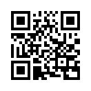 QR CODE 432