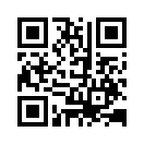 QR CODE 42