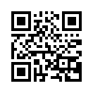 QR CODE 110