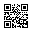 QR CODE 133