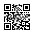 QR CODE 42