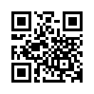 QR CODE 3007