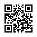 QR CODE 3133