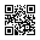 QR CODE 3155