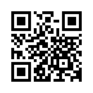 QR CODE 3194