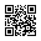 QR CODE 3338