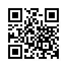 QR CODE 3346