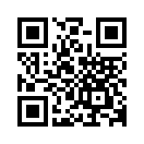QR CODE 3386