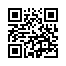 QR CODE 3593