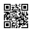 QR CODE 3677