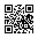 QR CODE 3771
