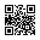 QR CODE 3782
