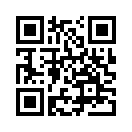QR CODE 501