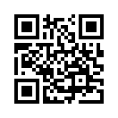 QR CODE 529