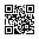 QR CODE 553