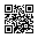 QR CODE 677