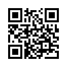 QR CODE 993