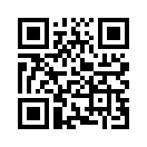 QR CODE 538