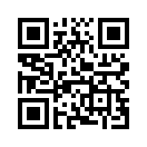 QR CODE 565