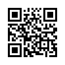 QR CODE 677