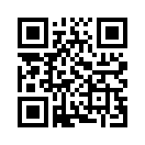 QR CODE 691