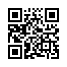 QR CODE 737