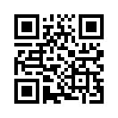 QR CODE 813