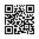 QR CODE 856