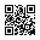 QR CODE 878