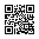QR CODE 133