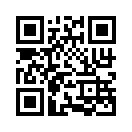 QR CODE 228