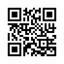 QR CODE 31