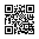 QR CODE 316