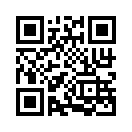 QR CODE 317