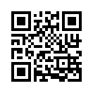 QR CODE 329